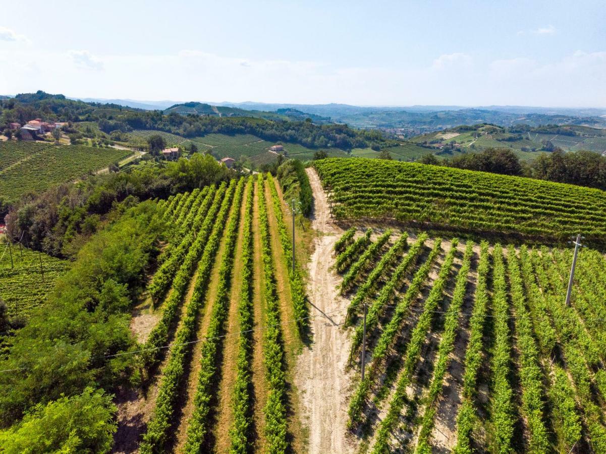 Tenuta Valdorso - Agri Resort Montechiaro D'acqui Exterior photo